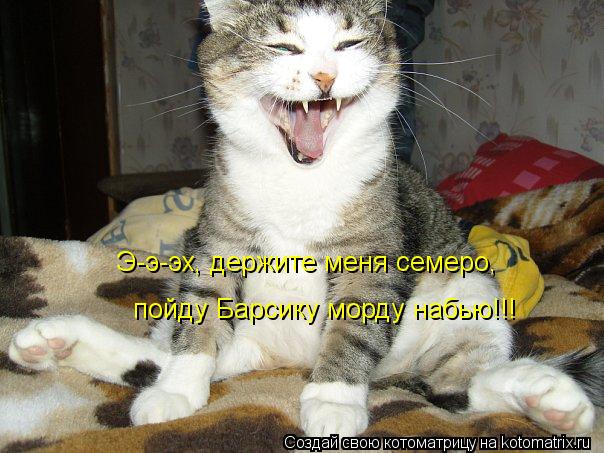 Котоматрица: Э-э-эх, держите меня семеро, пойду Барсику морду набью!!!