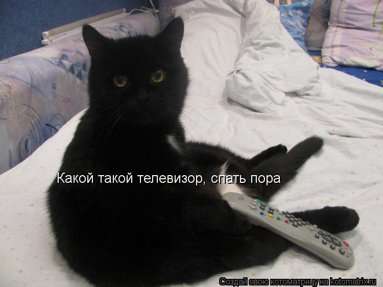 Котоматрица: Какой такой телевизор, спать пора