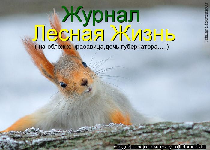 Котоматрица: Лесная Жизнь Журнал ( на обложке красавица,дочь губернатора.....)