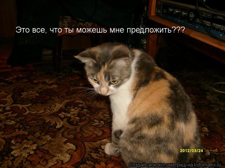Котоматрица: Это все, что ты можешь мне предложить???