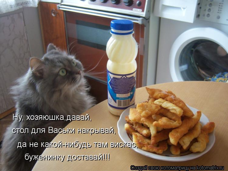 Котоматрица: Ну, хозяюшка,давай, стол для Васьки накрывай, да не какой-нибудь там вискас, буженинку доставай!!!