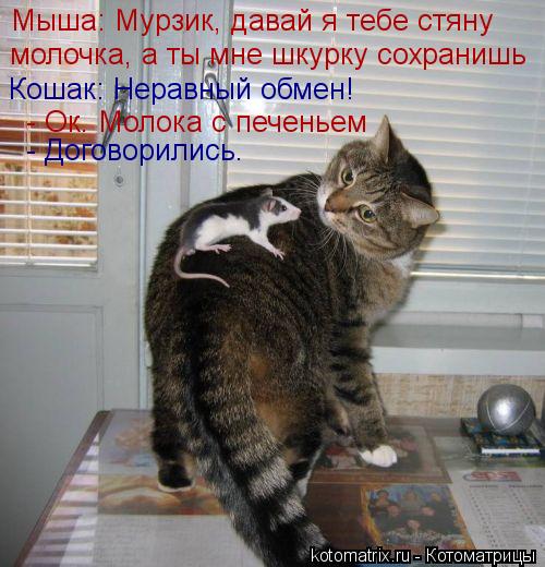 Котоматрица: Мыша: Мурзик, давай я тебе стяну молочка, а ты мне шкурку сохранишь Кошак: Неравный обмен!  - Ок. Молока с печеньем  - Договорились.