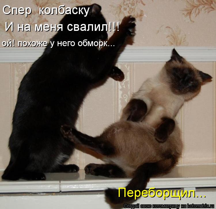 Котоматрица: И на меня свалил!!! Спер  колбаску ой! похоже у него обморк... Переборщил...