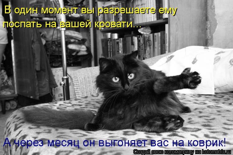 Котоматрица: В один момент вы разрешаете ему поспать на вашей кровати... А через месяц он выгоняет вас на коврик!