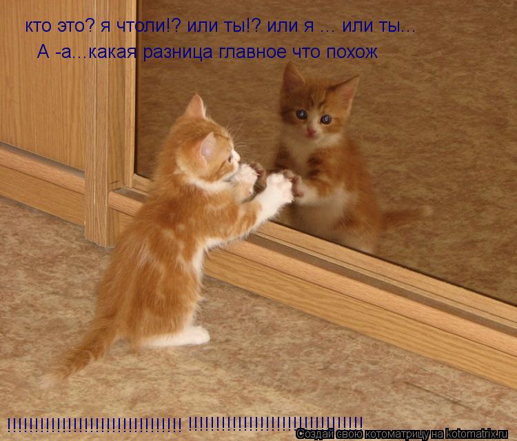 Котоматрица: кто это? я чтоли!? или ты!? или я ... или ты...  А -а...какая разница главное что похож !!!!!!!!!!!!!!!!!!!!!!!!!!!!!!!! !!!!!!!!!!!!!!!!!!!!!!!!!!!!!