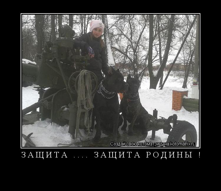 Котоматрица: Защита .... ЗАЩИТА РОДИНЫ ! 