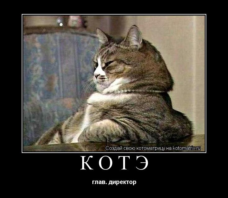 Котоматрица: КОТЭ глав. директор