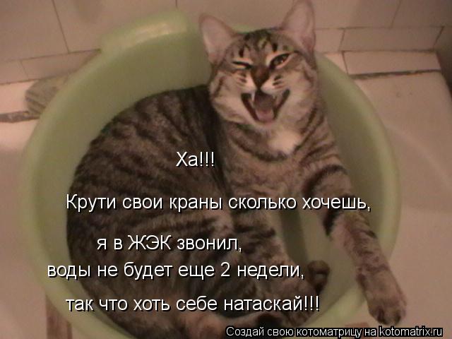 Котоматрица: я в ЖЭК звонил, Крути свои краны сколько хочешь, воды не будет еще 2 недели, так что хоть себе натаскай!!! Ха!!!