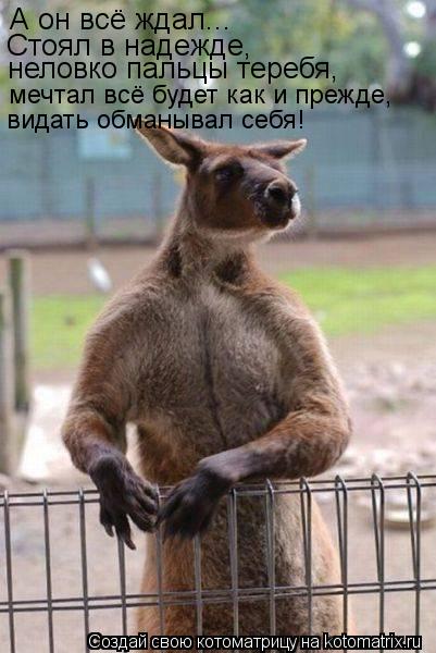 Котоматрица: А он всё ждал... Стоял в надежде, неловко пальцы теребя, мечтал всё будет как и прежде, видать обманывал себя!