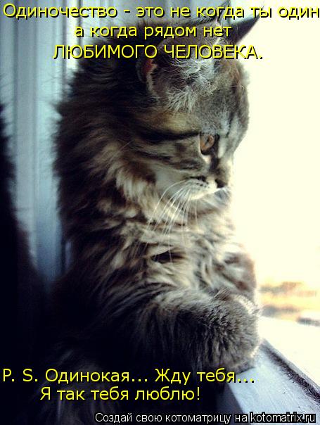 Котоматрица: Одиночество - это не когда ты один, а когда рядом нет ЛЮБИМОГО ЧЕЛОВЕКА. P. S. Одинокая... Жду тебя... Я так тебя люблю!