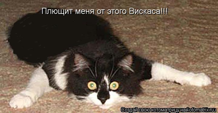 Котоматрица: Плющит меня от этого Вискаса!!!