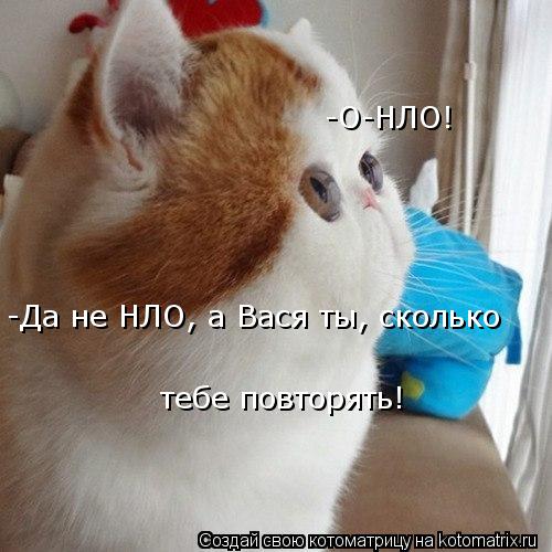 Котоматрица: -О-НЛО! -Да не НЛО, а Вася ты, сколько тебе повторять!