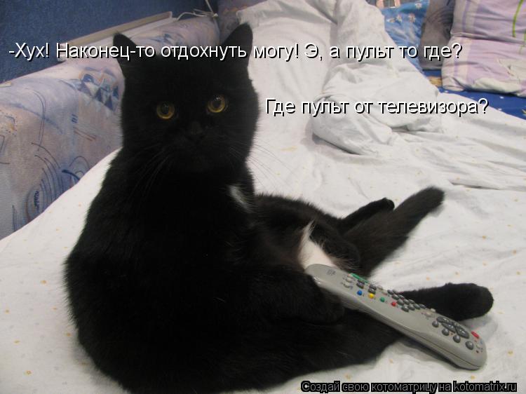 Котоматрица: Где пульт от телевизора? -Хух! Наконец-то отдохнуть могу! Э, а пульт то где?