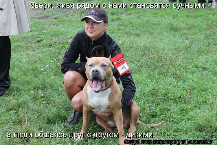 Котоматрица: Звери, живя рядом с нами становятся ручными а люди общаясь друг с другом - дикими.