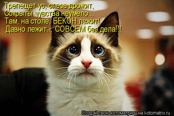 Трепещет ус, слеза дрожит, Сокрыты чувства неумело... Там, на столе, БЕКОН лежит! Давно лежит... СОВС... Котоматрица: Трепещет ус, слеза дрожит, Сокрыты чувства неумело... Там, на столе, БЕКОН лежит! Давно лежит... СОВСЕМ без дела!!!