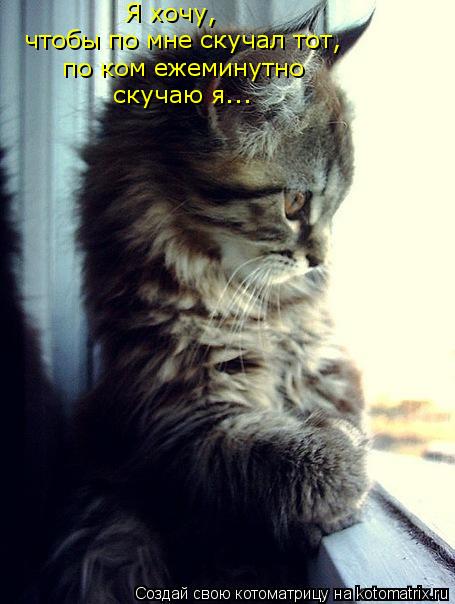 Я хочу, чтобы по мне скучал тот, по ком ежеминутно скучаю я...... Котоматрица: Я хочу, чтобы по мне скучал тот, по ком ежеминутно скучаю я...