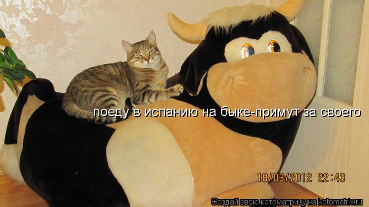 поеду в испанию на быке-примут за своего... Котоматрица: поеду в испанию на быке-примут за своего