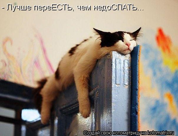 Котоматрица: - Лучше переЕСТЬ, чем недоСПАТЬ...