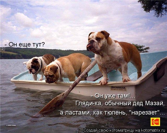 - Он еще тут? - Он уже там!... Гляди-ка, обычный дед Мазай, а ластами, как тюлень, "нарезает"...... Котоматрица: - Он еще тут? - Он уже там!... Гляди-ка, обычный дед Мазай, а ластами, как тюлень, "нарезает"...
