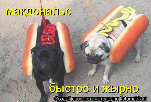 Котоматрица: макдональс быстро и жырно