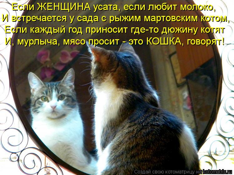 Если ЖЕНЩИНА усата, если любит молоко, И встречается у сада с рыжим мартовским котом, Если каждый год... Котоматрица: Если ЖЕНЩИНА усата, если любит молоко, И встречается у сада с рыжим мартовским котом, Если каждый год приносит где-то дюжину котят И, мурлыча
