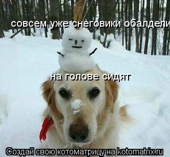 совсем уже снеговики обалдели! совсем уже снеговики обалдели! на голове сидят... Котоматрица: совсем уже снеговики обалдели! совсем уже снеговики обалдели! на голове сидят