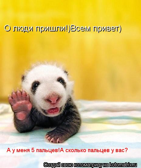 О люди пришли!)Всем привет) А у меня 5 пальцев!А сколько пальцев у вас?... Котоматрица: О люди пришли!)Всем привет) А у меня 5 пальцев!А сколько пальцев у вас?