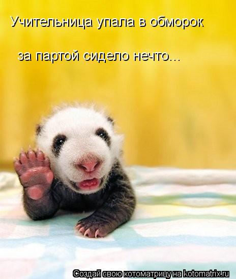 Учительница упала в обморок за партой сидело нечто...... Котоматрица: Учительница упала в обморок за партой сидело нечто...