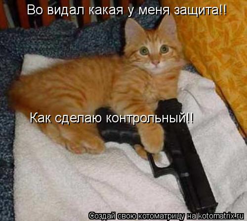 Во видал какая у меня защита!! Как сделаю контрольный!!... Котоматрица: Во видал какая у меня защита!! Как сделаю контрольный!!
