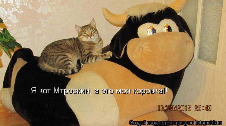 Сценарии с котом матроскиным Сценарии с котом матроскиным