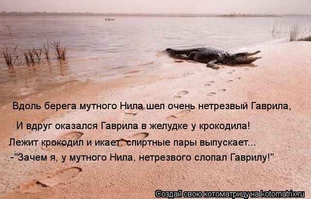 Стих о гавриле из 12 стульев Стих о гавриле из 12 стульев