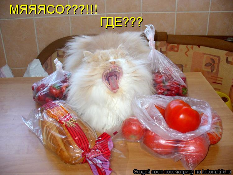 МЯЯЯСО???!!! ГДЕ???... Котоматрица: МЯЯЯСО???!!! ГДЕ???