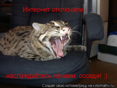 Интернет отключили - наслаждайтесь пением, соседи! ;)... Котоматрица: Интернет отключили - наслаждайтесь пением, соседи! ;)