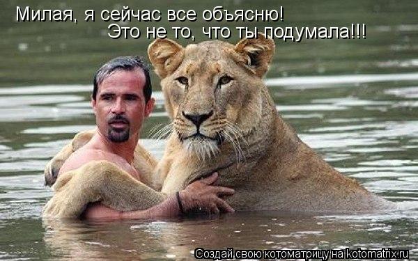 Милая, я сейчас все объясню! Это не то, что ты подумала!!!... Котоматрица: Милая, я сейчас все объясню! Это не то, что ты подумала!!!