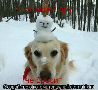 Настоящий друг не бросит... Котоматрица: Настоящий друг не бросит