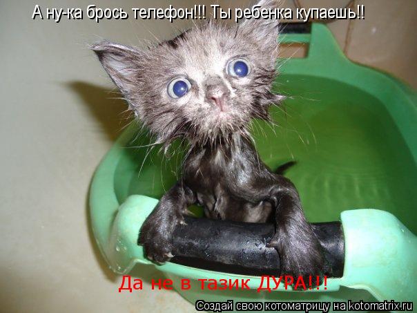 А ну-ка брось телефон!!! Ты ребенка купаешь!! Да не в тазик ДУРА!!!... Котоматрица: А ну-ка брось телефон!!! Ты ребенка купаешь!! Да не в тазик ДУРА!!!