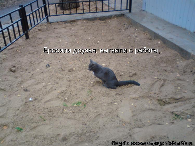 Котоматрица: Бросили друзья, выгнали с работы,
