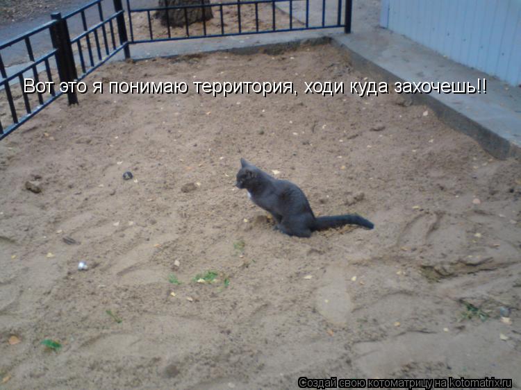 Вот это я понимаю территория, ходи куда захочешь!!... Котоматрица: Вот это я понимаю территория, ходи куда захочешь!!