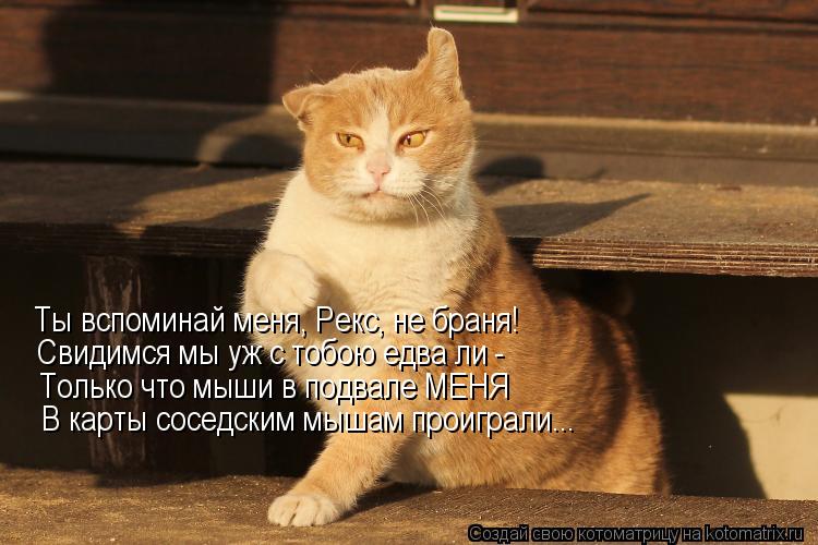 Ты вспоминай меня, Рекс, не браня! Свидимся мы уж с тобою едва ли - Только что мыши в подвале МЕНЯ В ... Котоматрица: Ты вспоминай меня, Рекс, не браня! Свидимся мы уж с тобою едва ли - Только что мыши в подвале МЕНЯ В карты соседским мышам проиграли...