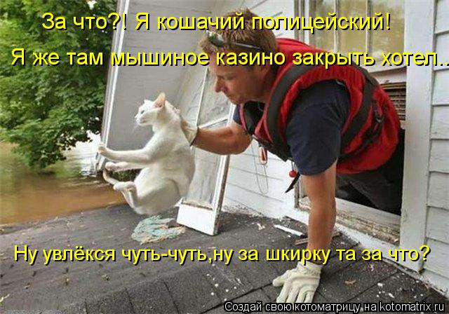 Котоматрица: Я же там мышиное казино закрыть хотел... За что?! Я кошачий полицейский! Ну увлёкся чуть-чуть,ну за шкирку та за что?