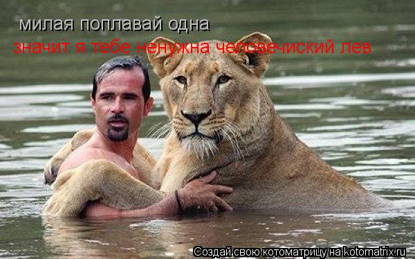милая поплавай одна значит я тебе ненужна человечиский лев... Котоматрица: милая поплавай одна значит я тебе ненужна человечиский лев