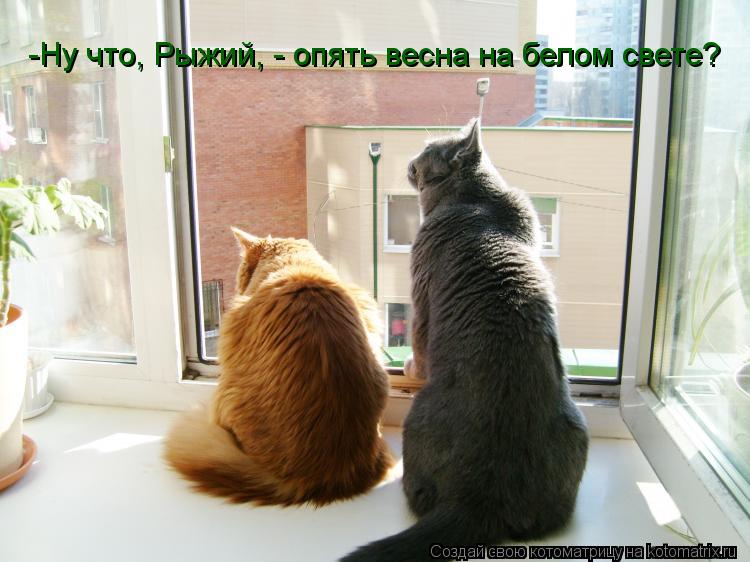 опять весна на белом свете из фильма опять весна на белом свете из фильма