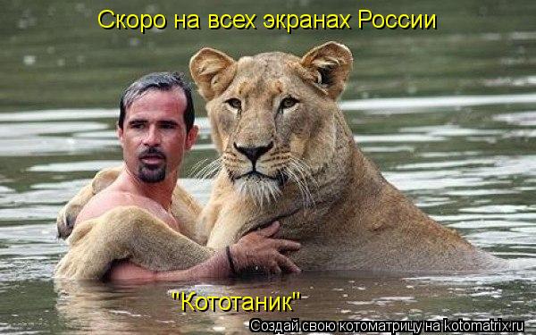 Скоро на всех экранах России "Кототаник"... Котоматрица: Скоро на всех экранах России "Кототаник"