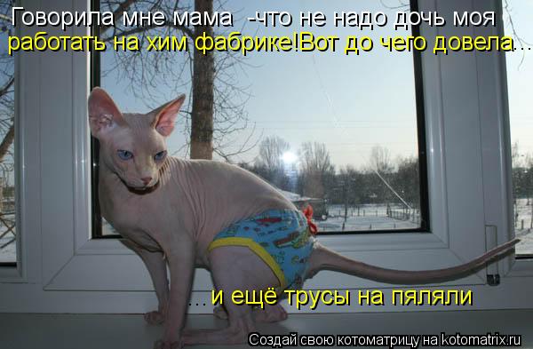 Говорила мне мама -что не надо дочь моя работать на хим фабрике!Вот до чего довела и ещё трусы на п... Котоматрица: Говорила мне мама -что не надо дочь моя работать на хим фабрике!Вот до чего довела и ещё трусы на пяляли ... ...