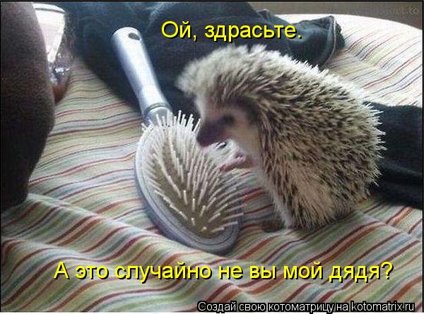 Ой, здрасьте. А это случайно не вы мой дядя? А это случайно не вы мой дядя?... Котоматрица: Ой, здрасьте. А это случайно не вы мой дядя? А это случайно не вы мой дядя?