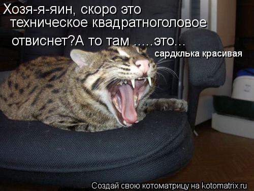 Хозя-я-яин, скоро это техническое квадратноголовое отвиснет?А то там .....это... сардклька красивая... Котоматрица: Хозя-я-яин, скоро это техническое квадратноголовое отвиснет?А то там .....это... сардклька красивая