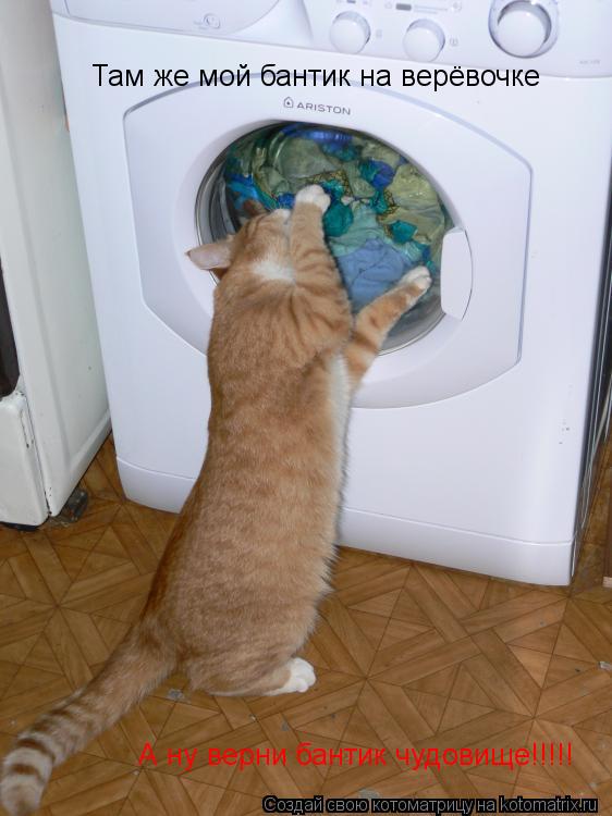 Там же мой бантик на верёвочке А ну верни бантик чудовище!!!!!... Котоматрица: Там же мой бантик на верёвочке А ну верни бантик чудовище!!!!!