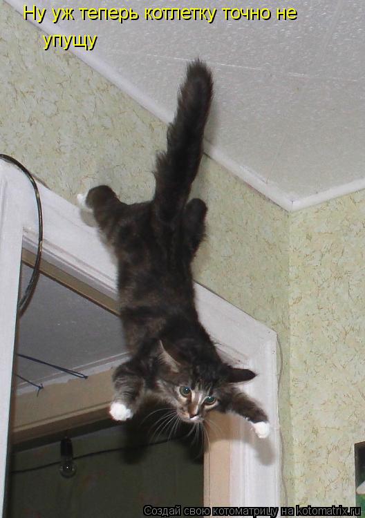 Ну уж теперь котлетку точно не упущу... Котоматрица: Ну уж теперь котлетку точно не упущу