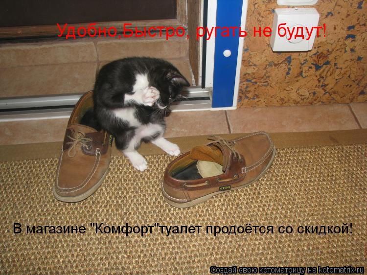 В магазине "Комфорт"туалет продоётся со скидкой! Удобно,Быстро, ругать не будут!... Котоматрица: В магазине "Комфорт"туалет продоётся со скидкой! Удобно,Быстро, ругать не будут!