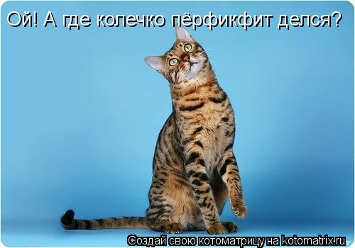 Ой! А где колечко пёрфикфит делся?... Котоматрица: Ой! А где колечко пёрфикфит делся?